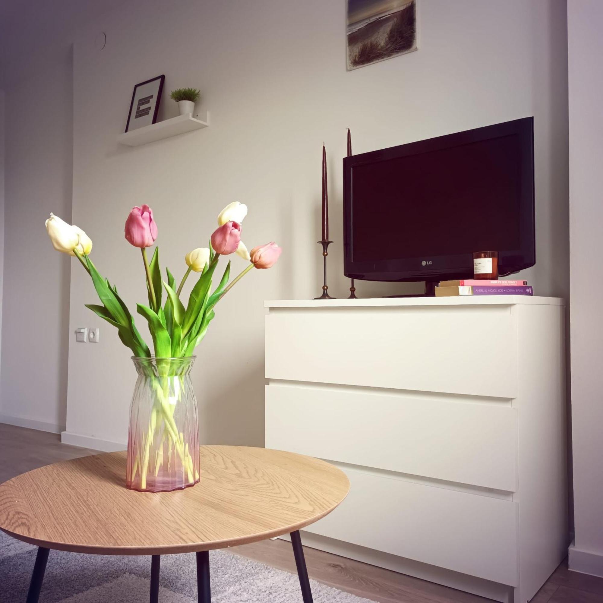 דירות זאגרב Bright And Modern Studio Near City Center מראה חיצוני תמונה